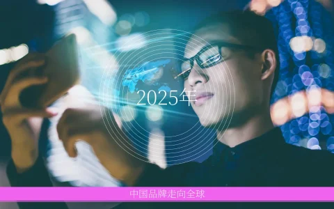 ⭕2025年中国出海品牌分析报告