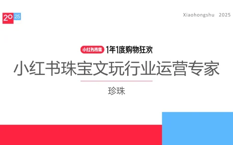 ⭐2025小红书电商双11-珠宝文玩行业运营指南