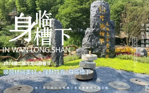 ⭐2024文旅景区8月月度活动策划方案