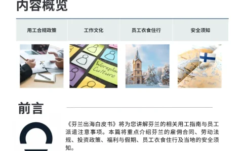 ⭐芬兰出海白皮书