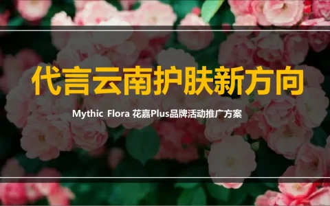 花嘉美妆护肤品牌推广方案