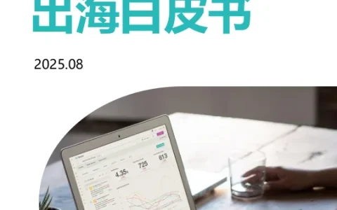 ⭐2025年中国汽车品牌出海白皮书