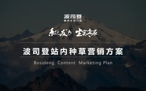 波司登站内种草营销方案