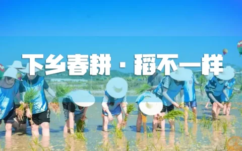 “下乡春耕·稻不一样”活动策划方案